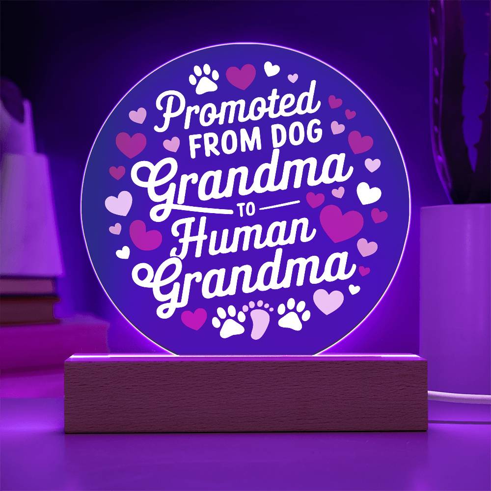 Promoted from Dog Grandma to Human Grandma Acrylic Plaque