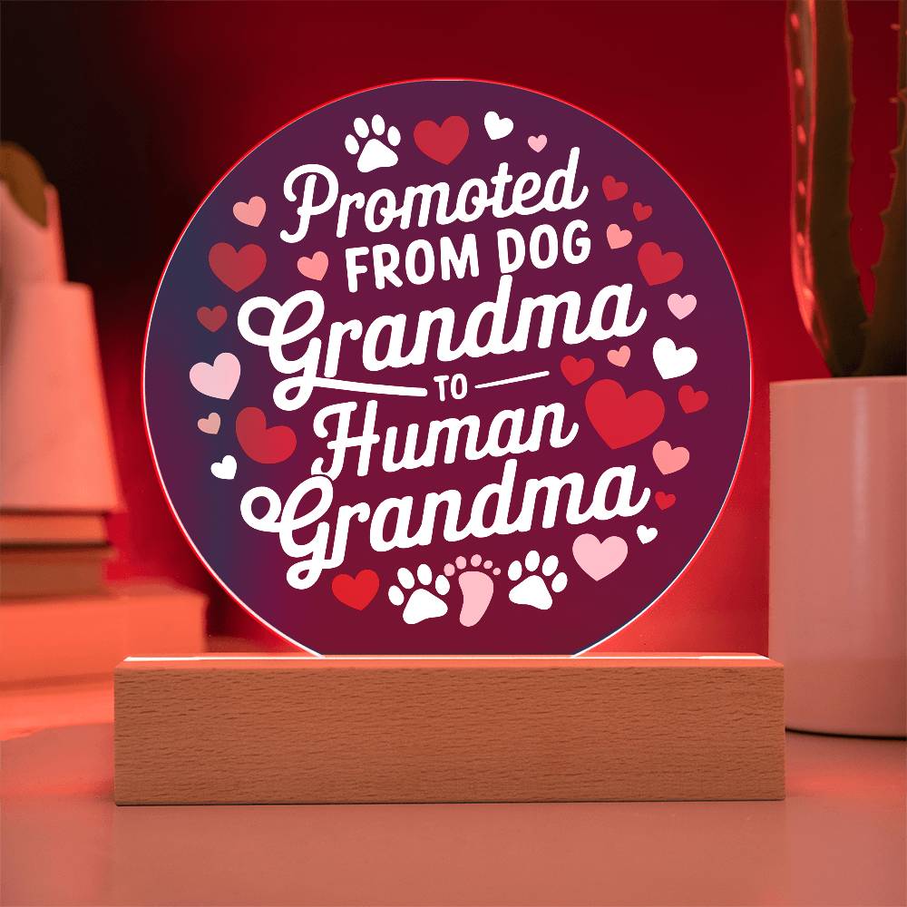 Promoted from Dog Grandma to Human Grandma Acrylic Plaque