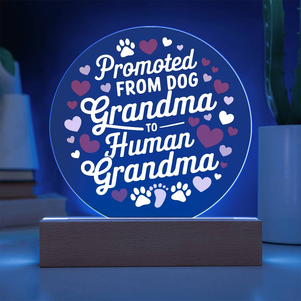 Promoted from Dog Grandma to Human Grandma Acrylic Plaque